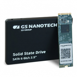 GS SSD 256-16 российский SSD (256 Гб ), M.2 2280, NAND Flash 3D TLC (GSSFA256M16STF)